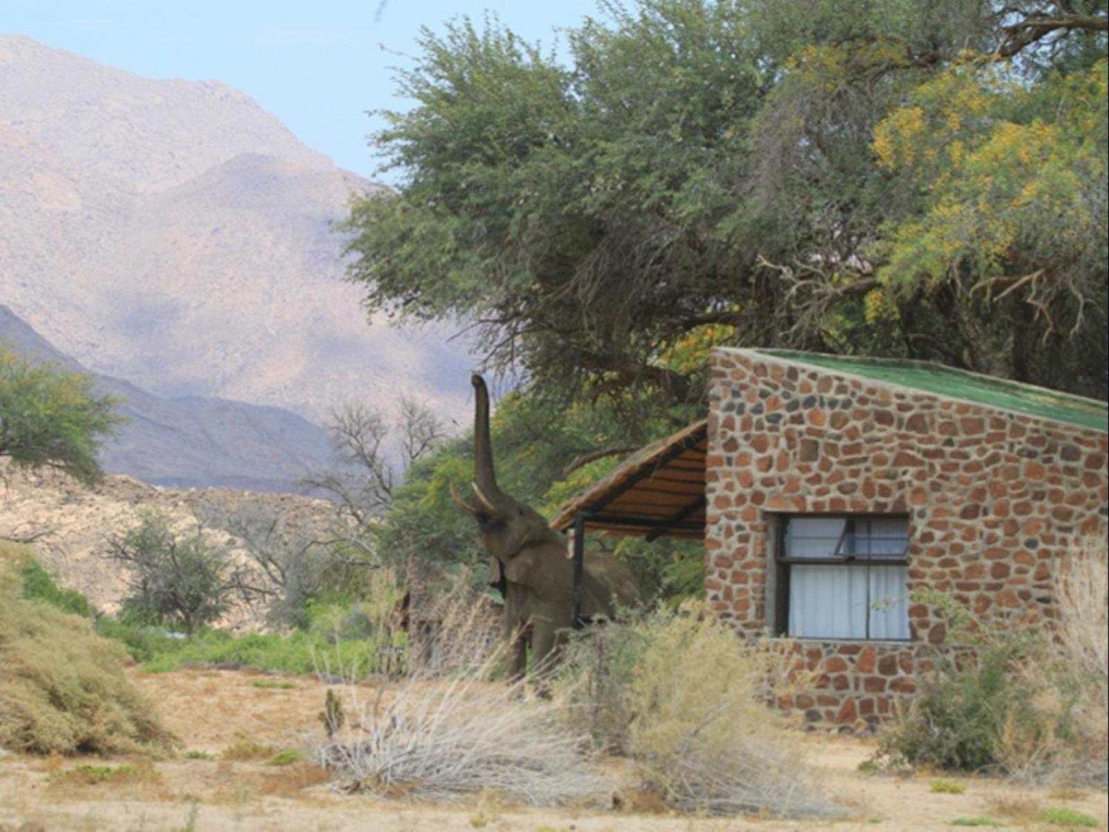 Brandberg White Lady Lodge Uis Exterior photo